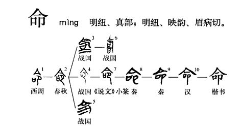 命說文解字|命(漢字):字源解說,詳細字義,古籍解釋,說文解字,說文解。